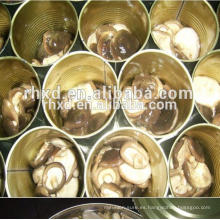 Propia fábrica / exportación de hongos shitake enlatados en tarro de China